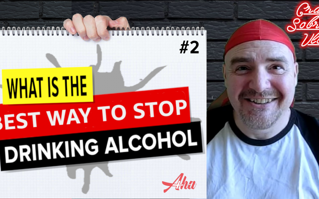 #2 What is the best way to stop drinking alcohol?